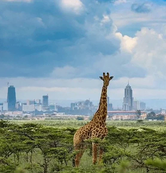 Nairobi Excursions