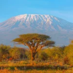Mount Kilimanjaro Trekking Lemosho – Shira Route