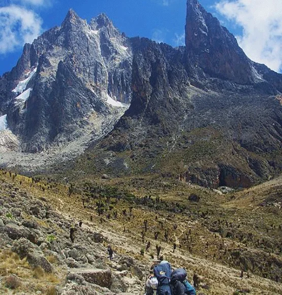 Timau Chogoria Route – wildlife and savannah on Mount Kenya trekking package