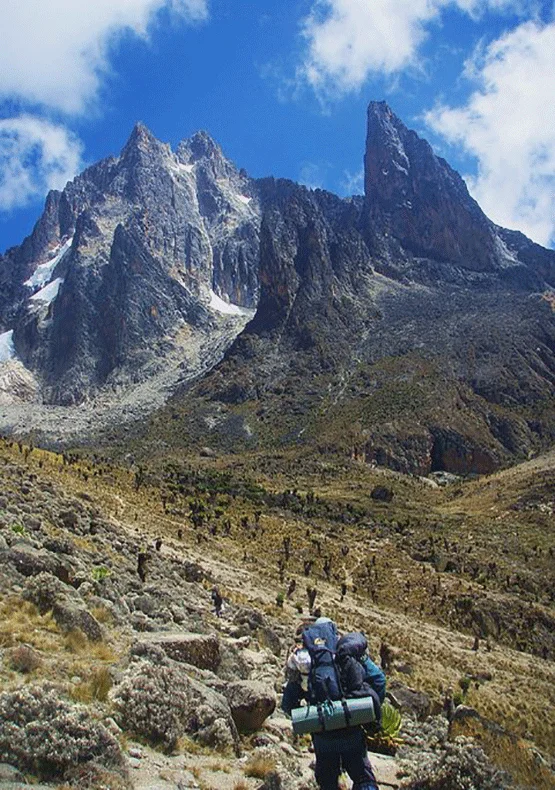 Timau Chogoria Route – wildlife and savannah on Mount Kenya trekking package