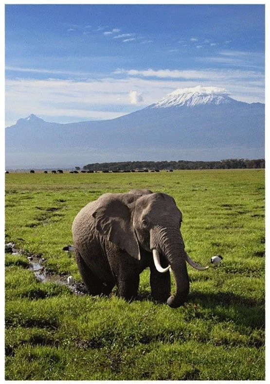 Mount Kilimanjaro Climbing Machame – Mweka Route