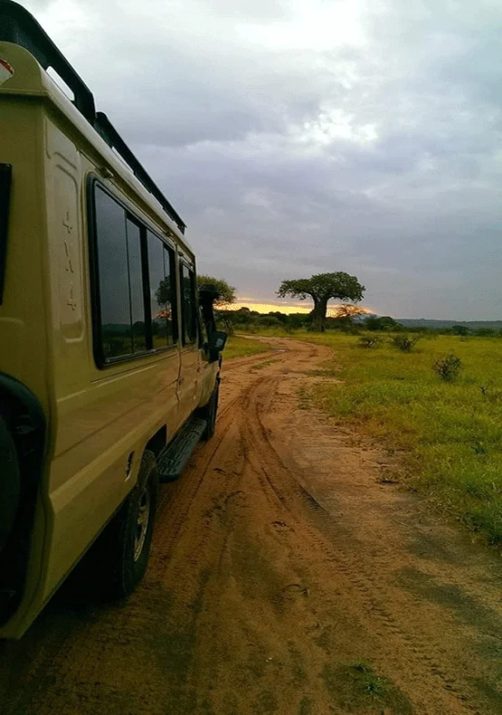 Loita Hill’s Climbing Treks