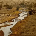 Mount Kilimanjaro Climbing Umbwe Route