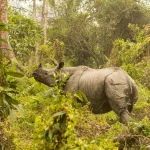 Mt Kenya Sirimon – Chogoria Route