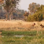 Mt. Elgon Trek Kenyan side